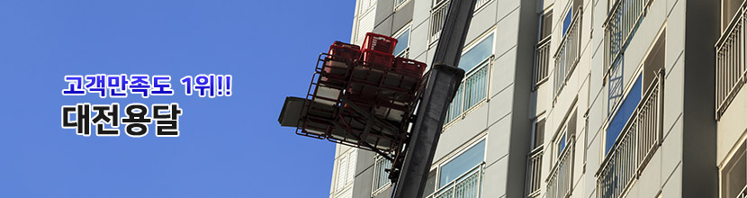 대전동구포장이사